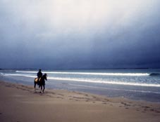 Reiten am Strand