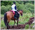 Sligo Trail 2008