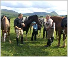 Reiterferien - Sternritte von der Horse Holiday Farm