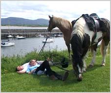 Reiterferien - Ausreiten in Sligo