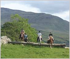 Cross country course
