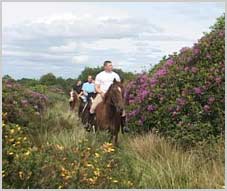Trail Riding Holidays