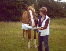 Mit dem Pferd die Karte lesen
