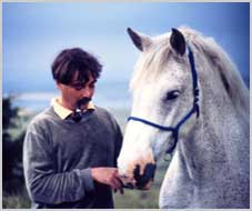 Pferd und Reiter