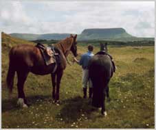 Reiterferien in Sligo