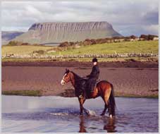 Wanderreiten in  Yeats Country