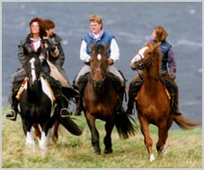 Wanderreiten in der Gruppe