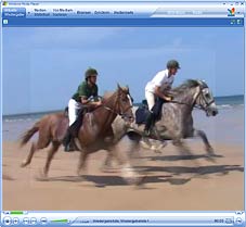 Video: Galoppieren am Strand