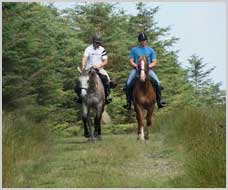 Reiterferien - Wanderreiten in Donegal