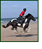 Horseback Riding Vacations by the Atlantic Ocean
