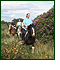 Wanderreiten in Sligo