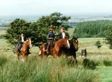 Wanderreiten durch Donegal