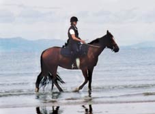 Reiten am Strand